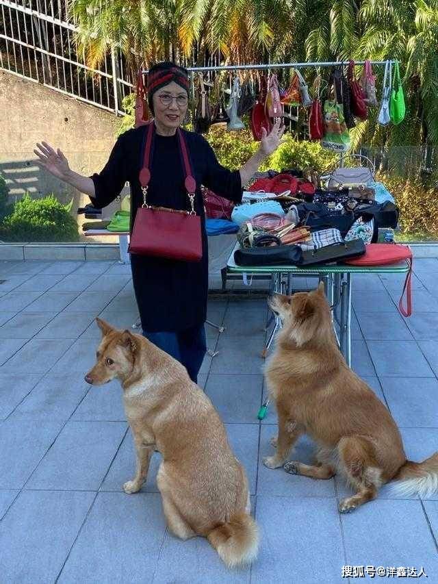 黑色 汪明荃哪像73岁？穿连衣裙配阔腿裤好洋气，拼色发带减龄20岁