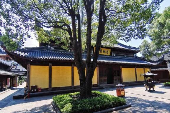 宁波市区唯一大型寺庙，典雅庄严没门票，为著名观音道场