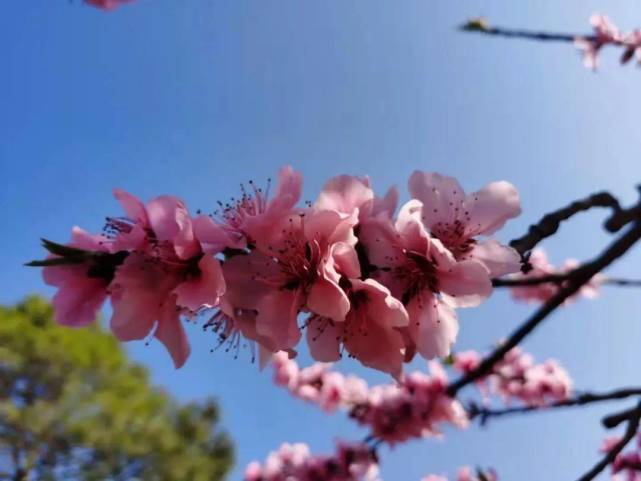 10月31日 11月3日 诸事顺利 财星降临 财运旺到爆棚的3生肖 事业 全网搜