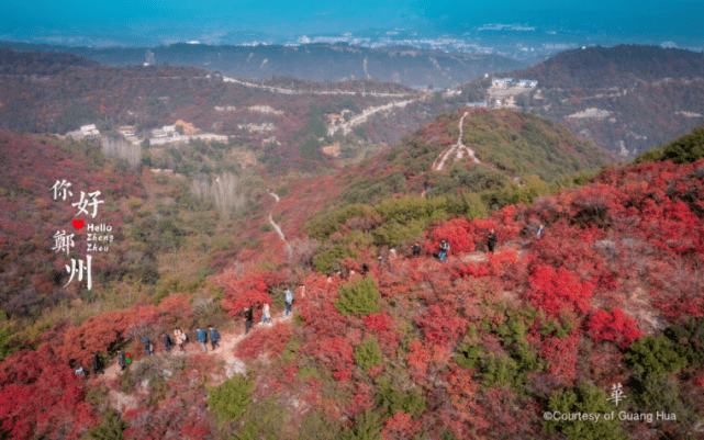 郑州互联网企业走进美丽乡村竹林长寿山