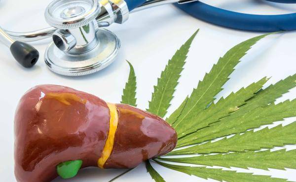 人体|长期不吃早餐，能变瘦？医生：这些“麻烦”或许会先一步到来