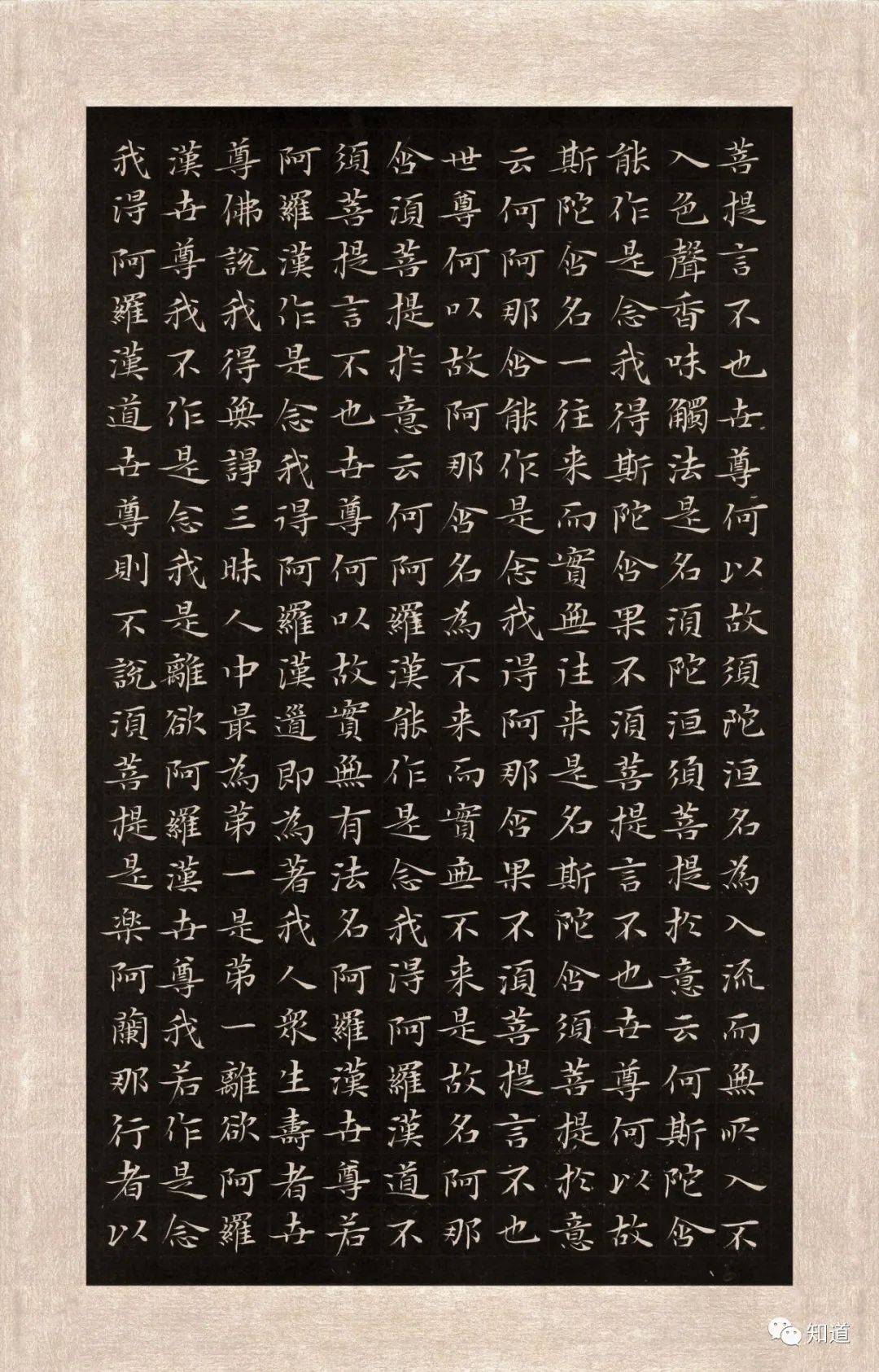 知道书画杨文彪趴书小楷金刚经上