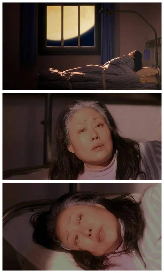 电影|小人物的现世安稳——许鞍华老年题材中的女性形象