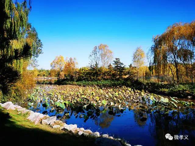 孝义|深秋，请君入孝义，邂逅秋天的浪漫