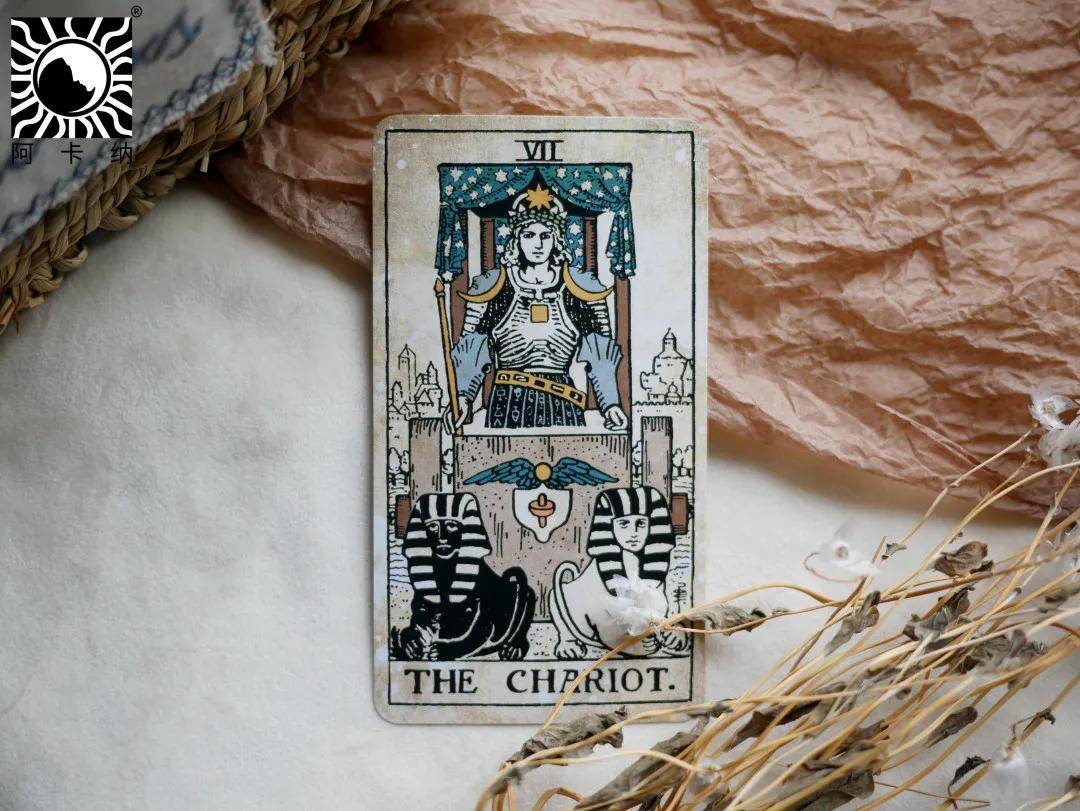 阿卡纳 | 复古维特塔罗牌开箱测评,get到你的审美了吗?_纳纳