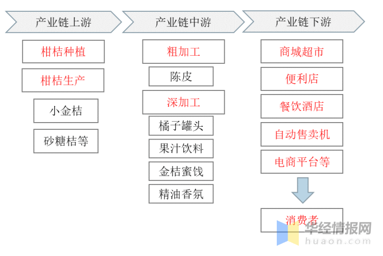 中国柑桔加工行业产业链柑橘有甜橙,柚,柑,橘,葡萄柚,柠檬等重要栽培
