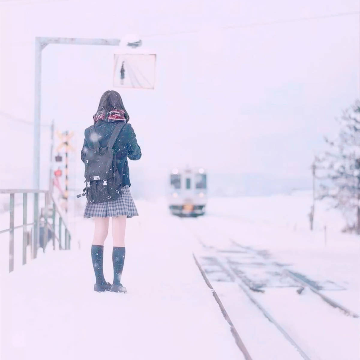 原创日本冬天那么冷，很多女人还穿短裙，都是靠什么过冬的？