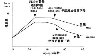 骨骼|臻享生命LLT NMN抵御骨质疏松,让骨头不再嘎嘣脆