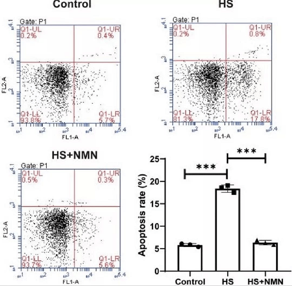 维修|心灵窗户维修剂，LLT NMN有效治疗干眼症
