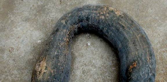 饮食|它被称为“糖尿病的克星”，平时多吃点还能逼走糖尿病！