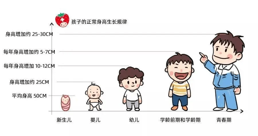 六一兒科醫生如何判斷孩子身高是否正常