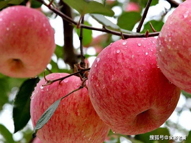 鸭子入秋后，女人想要皮肤白，记得吃6种食物，价格不高，营养丰富