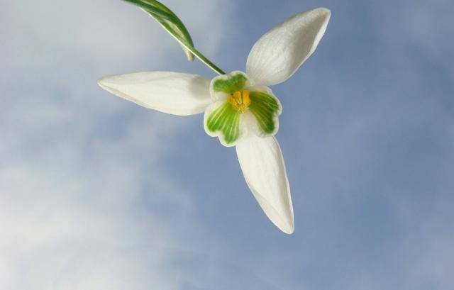 10月4日开始 财神爷空降家里 转运成功 财运连连的3个星座 天蝎座