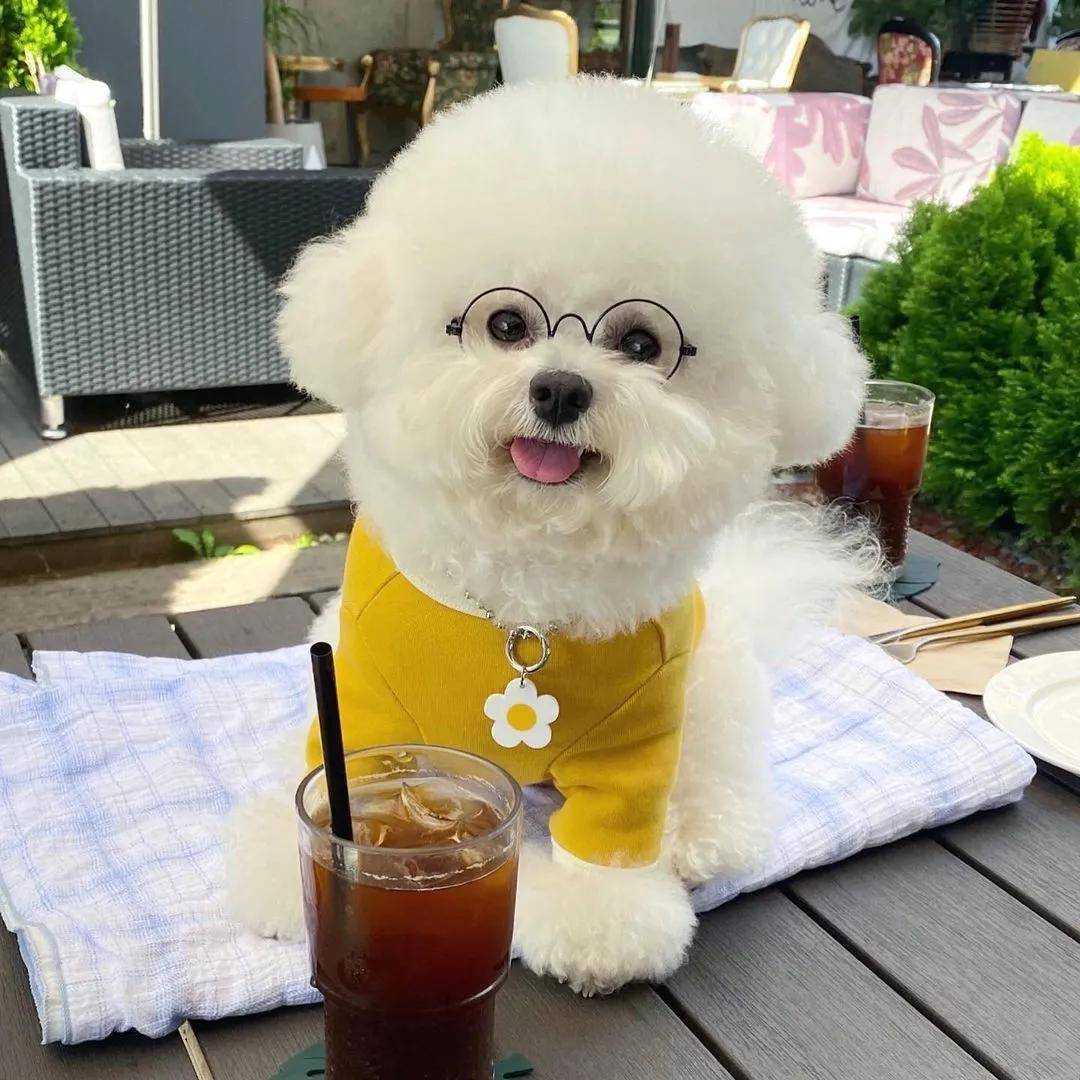 韩国超甜小奶狗爆红网络!眼神勾人,笑起来心都要萌化了!