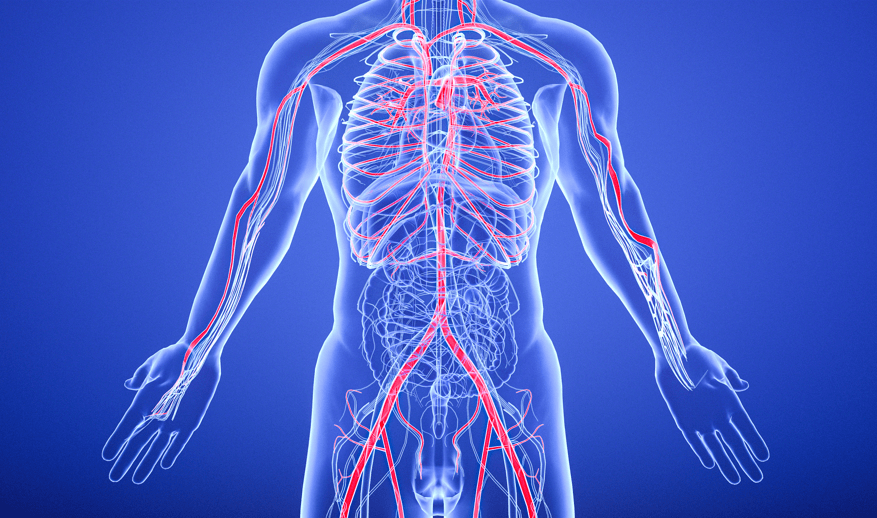 诊断|浅谈硬脑膜动静脉瘘