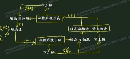 关系|血糖高,与这8个环节有很大关系,找出原因帮你更好的控制血糖