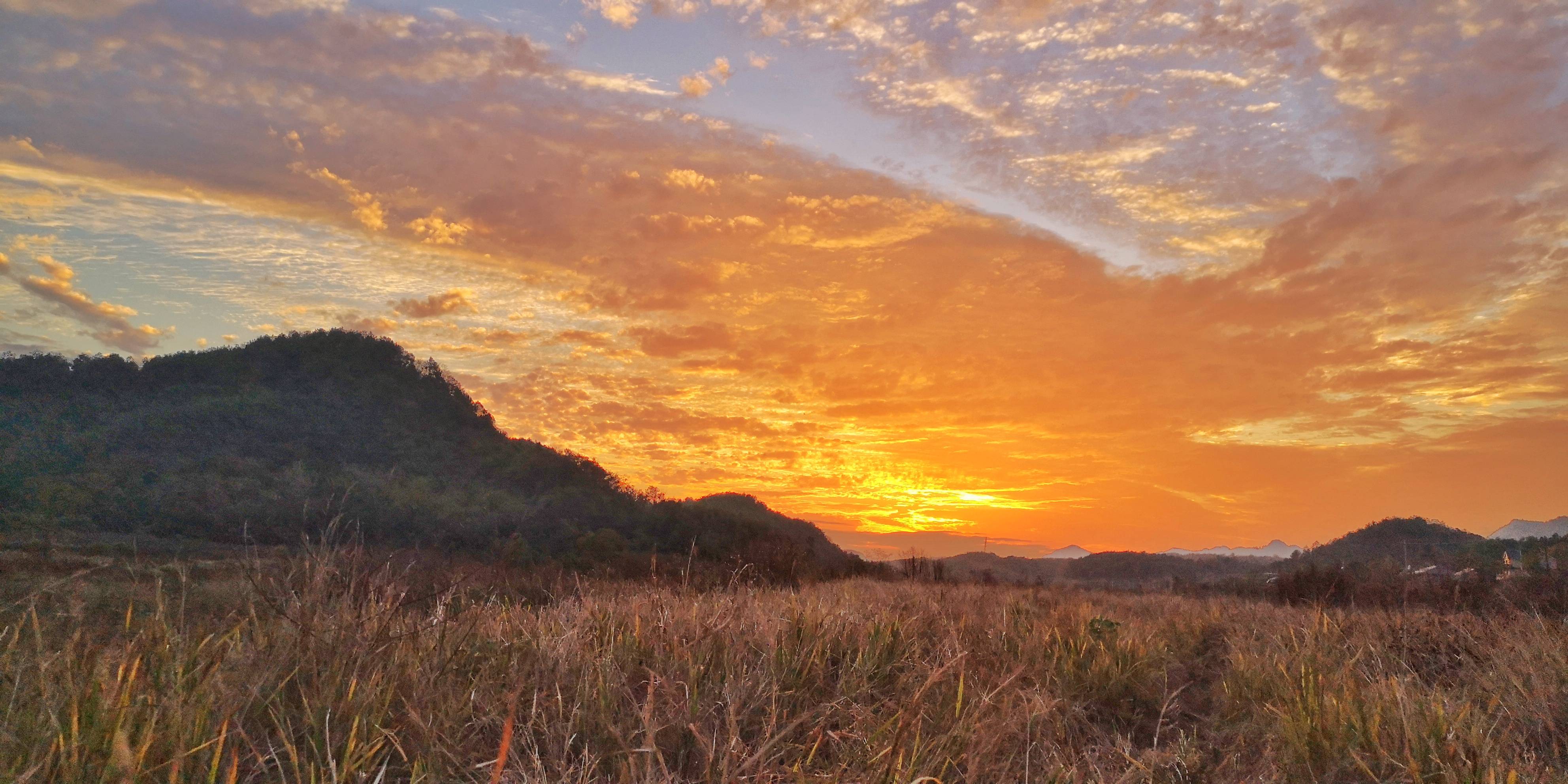 晚霞|金色的田野