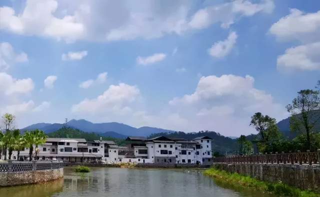 青嶂山溫泉旅遊度假村絕美銀杏養生溫泉電音嗨趴水上樂園