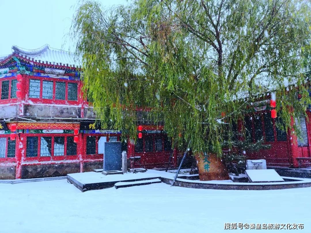 控制|秦皇岛初雪！惊艳四方的美景都在这儿了~