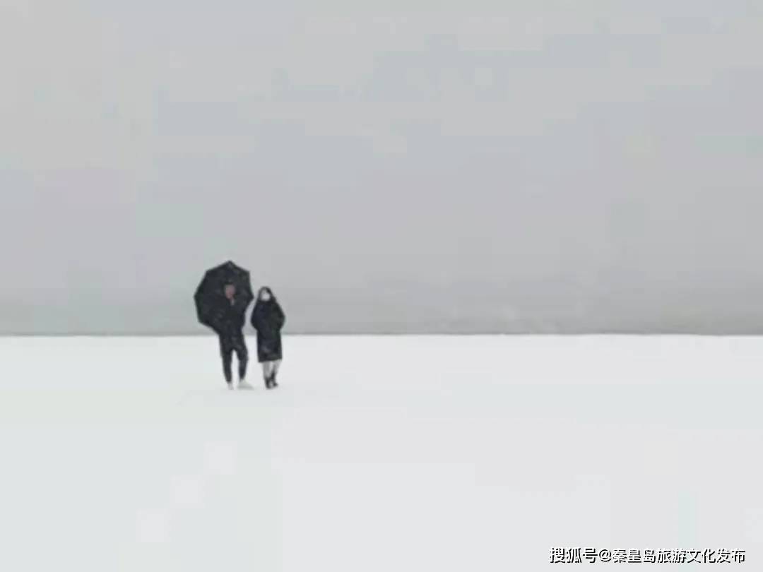 控制|秦皇岛初雪！惊艳四方的美景都在这儿了~