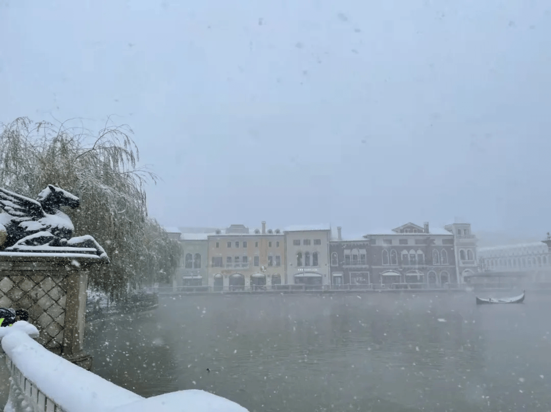 雪花|如约而至！近十年最早初雪光临济南，快收好这份雪景大赏，足不出户看雪映泉城