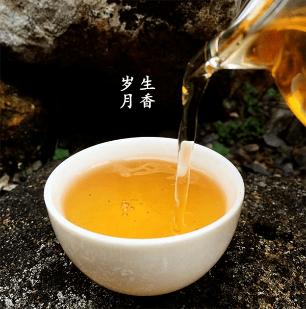 茶叶|最银南 | 为什么白茶越来越火？