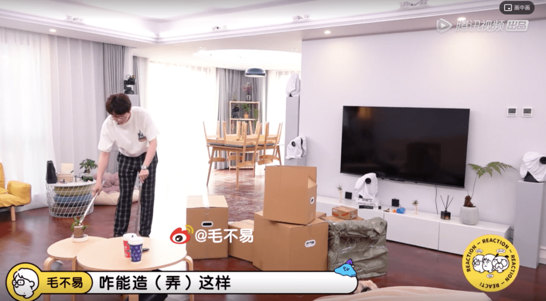 贴近生活|《毛雪汪》，在随意中创造真正的陪伴感