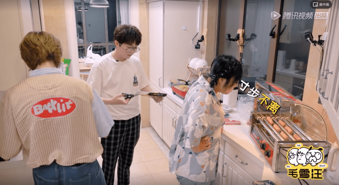 贴近生活|《毛雪汪》，在随意中创造真正的陪伴感