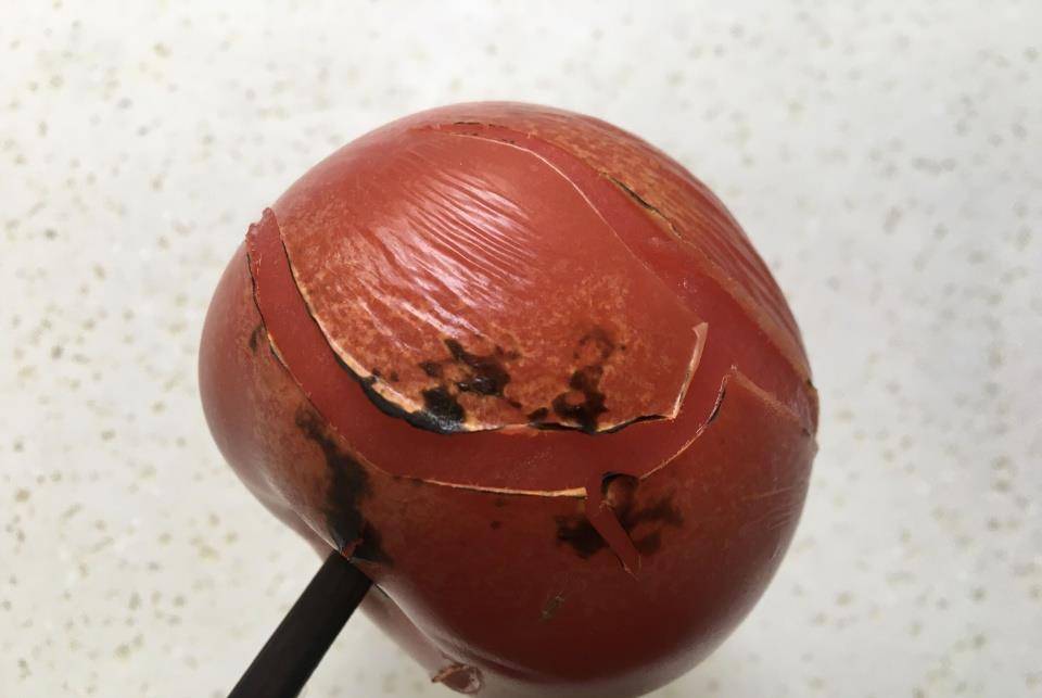 香菜|秋天不用早起,早餐吃它最省事,十分钟准出锅,汤汤水水真好吃