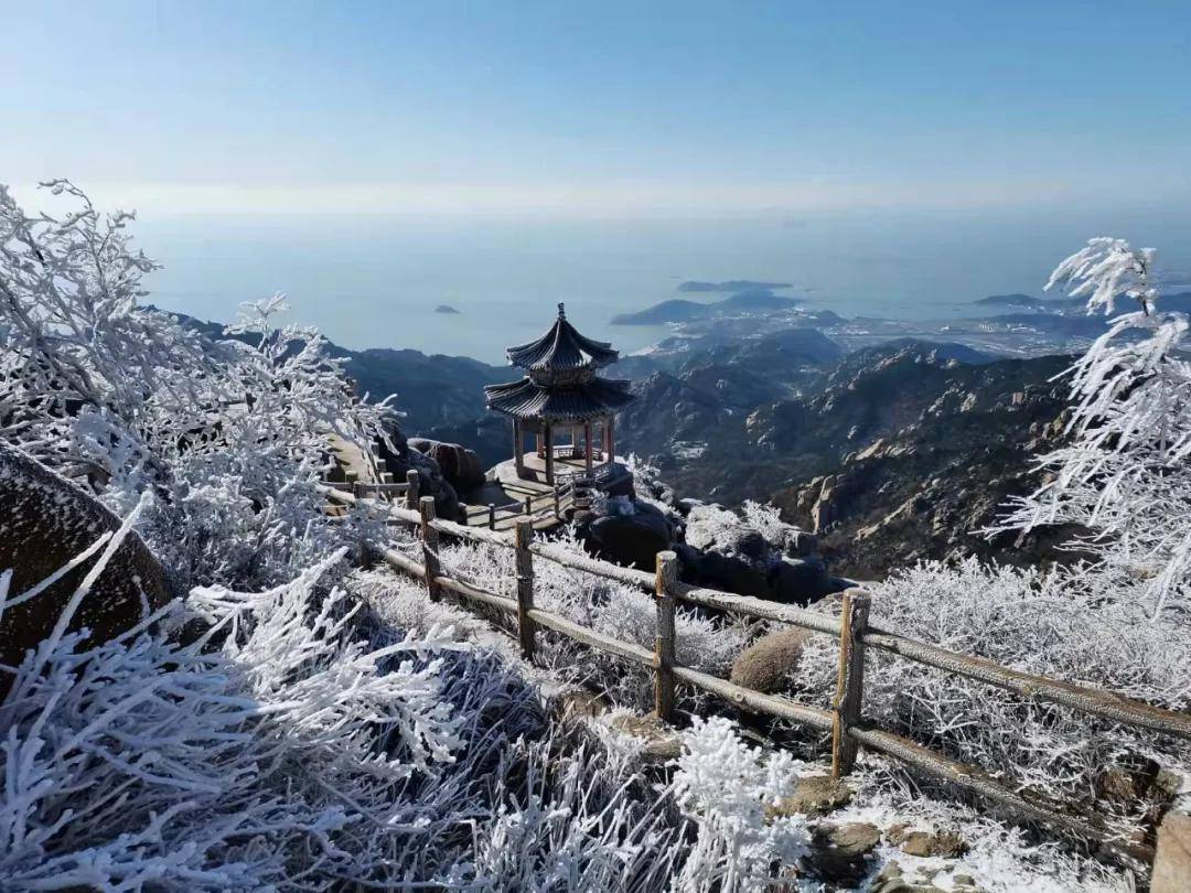 崂山初雪、绝美雾凇……雪后的青岛太美了！_搜狐网