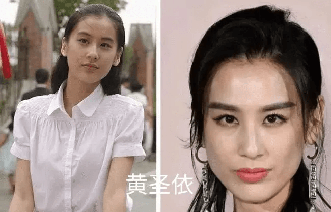 脸部事实证明，明星美貌的天敌不是发福，而是“发腮”啊？