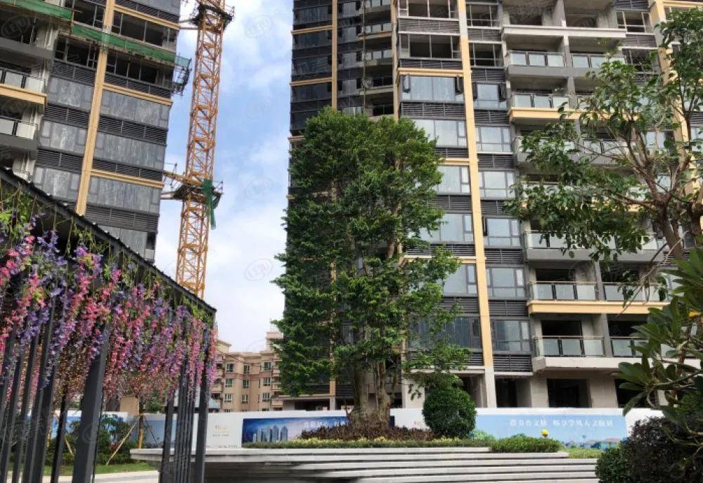 中山颐安熙园究竟怎么回事颐安熙园为什么那么多人都疯狂购买