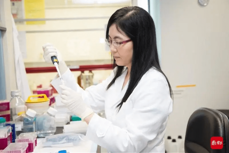 时隔5年，她再获大奖！