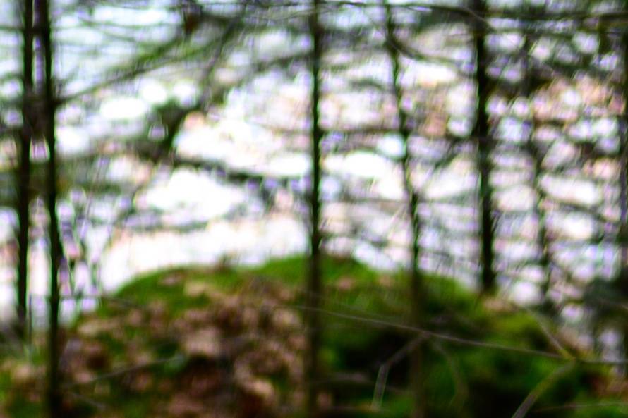 尼康Z 40mm f/2镜头评测：定义入门标头新标准