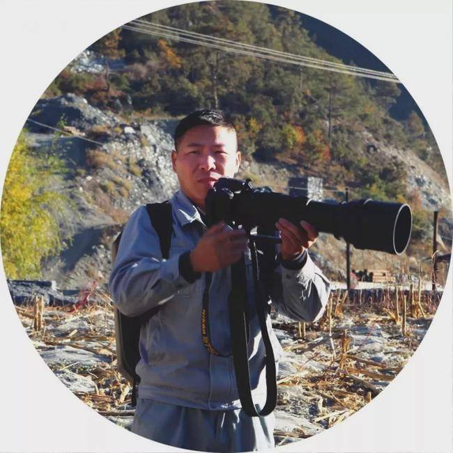 雅砻江水电摄影达人张向阳和他的“飞鸟集”