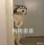 植物热巴为显白疑似浑身涂粉，结果粉把毯子染白，场面尴尬