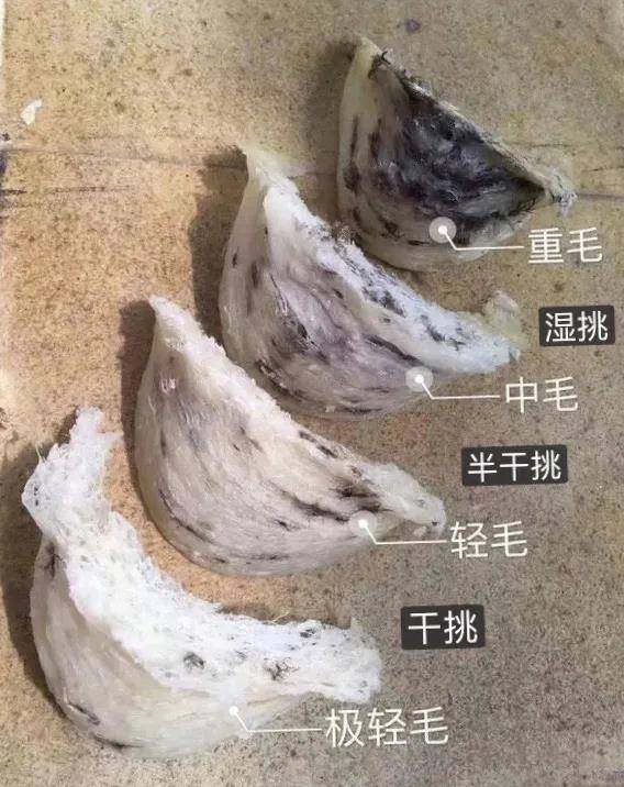自己买毛燕回来挑毛炖煮,安全吗?_燕窝