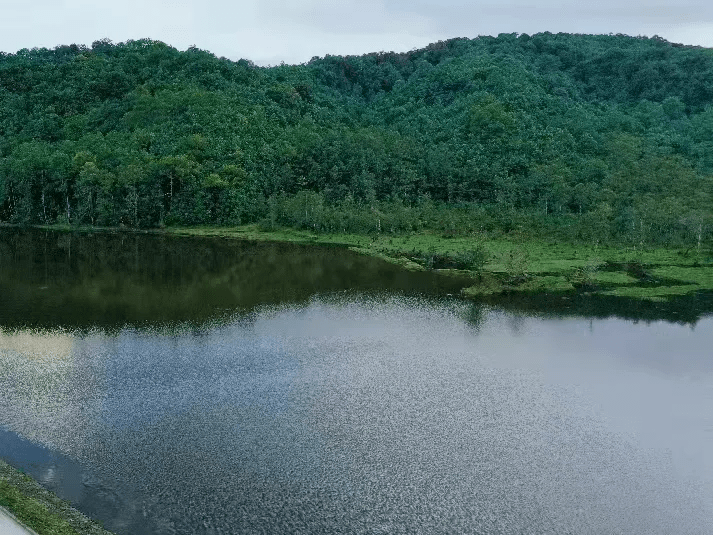 艺术|分享腾冲丨艺术的野奢，向野的生活