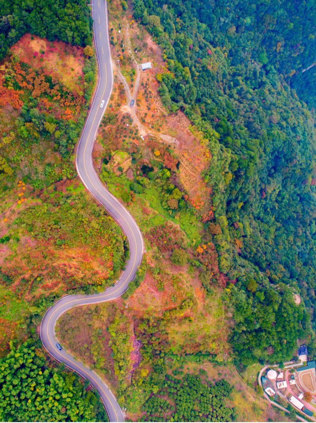 宁波最美自驾公路图片