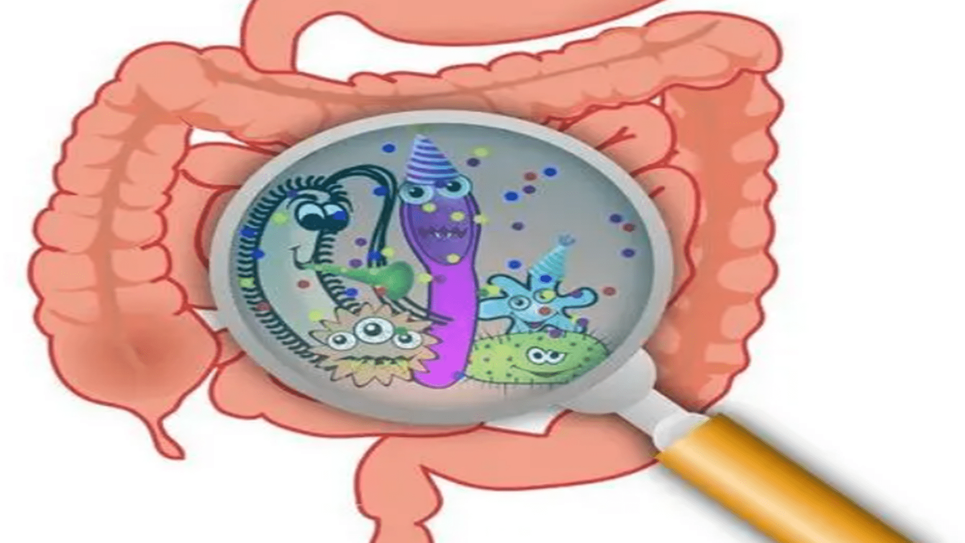 中草药|消炎药并非只有头孢，中成药里的“消炎药”，副作用更少