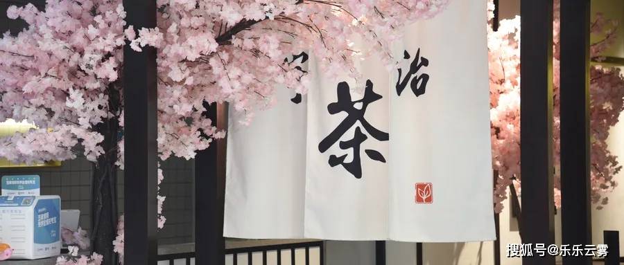 熟普|一天12个时辰，最适合喝茶的时间是……