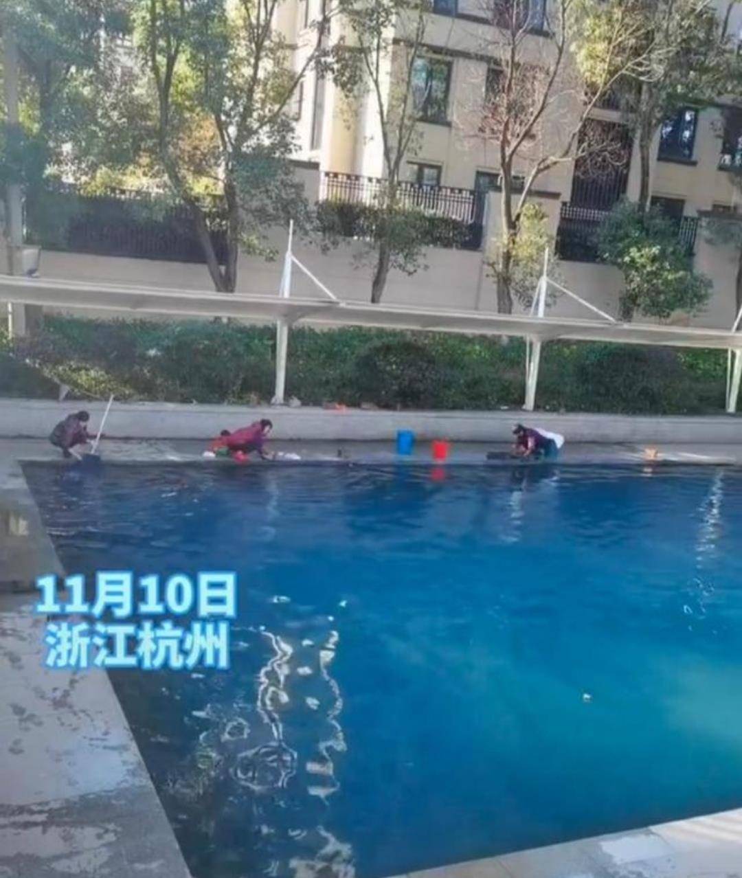 杭州：大妈们在小区游泳池洗尿片、洗拖把，业主们质问：素质呢？