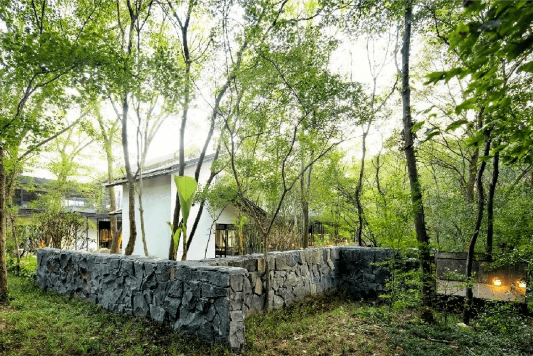 歌子|钟山里散步的美学家