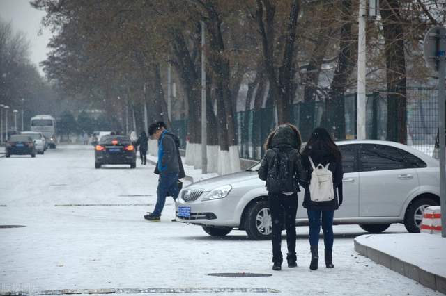 企业|复杂的玉米！东北还在观望，山东已经乱套！咋办？别急，雪还要来