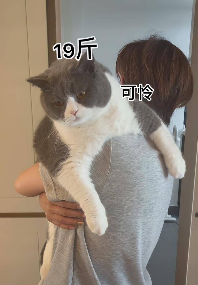 0304cea8b0cf455d933bd9b998933d40.jpeg