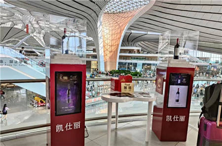 品牌|为宁夏葡萄酒文化赋能,凯仕丽如何触达年轻消费者