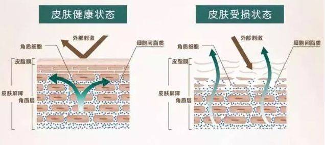 雷区|孕期护肤会致畸？专家：孕期变美有技巧，完美避开雷区也能美如画