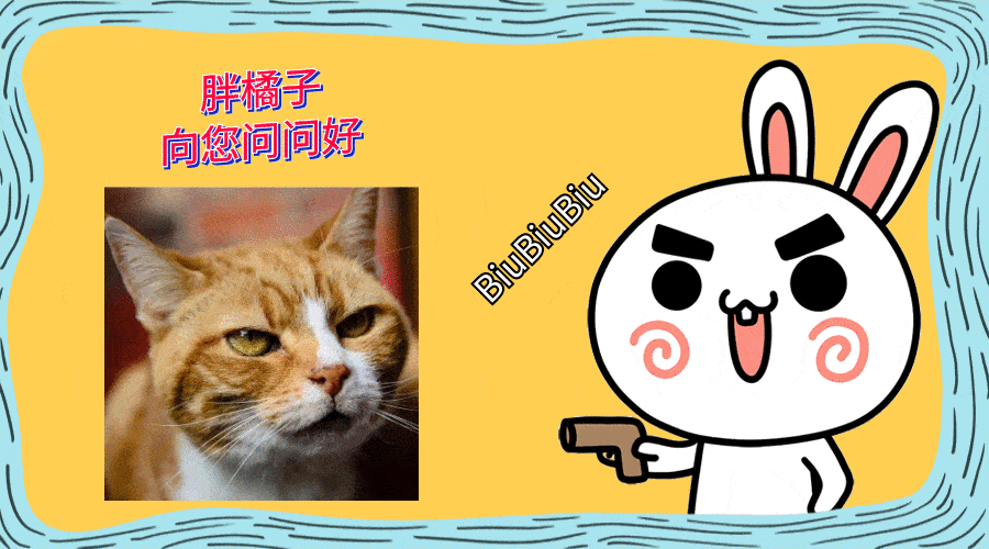 柴犬受伤柴犬流浪街头，走丢5天后，主人却被蒙在鼓里，家人没告诉他