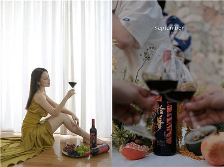 品牌|为宁夏葡萄酒文化赋能,凯仕丽如何触达年轻消费者