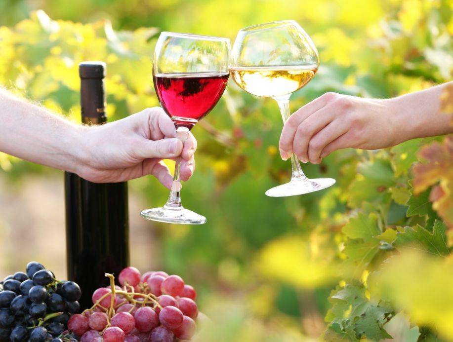 温度|揭秘!葡萄酒饮用温度的四大要点